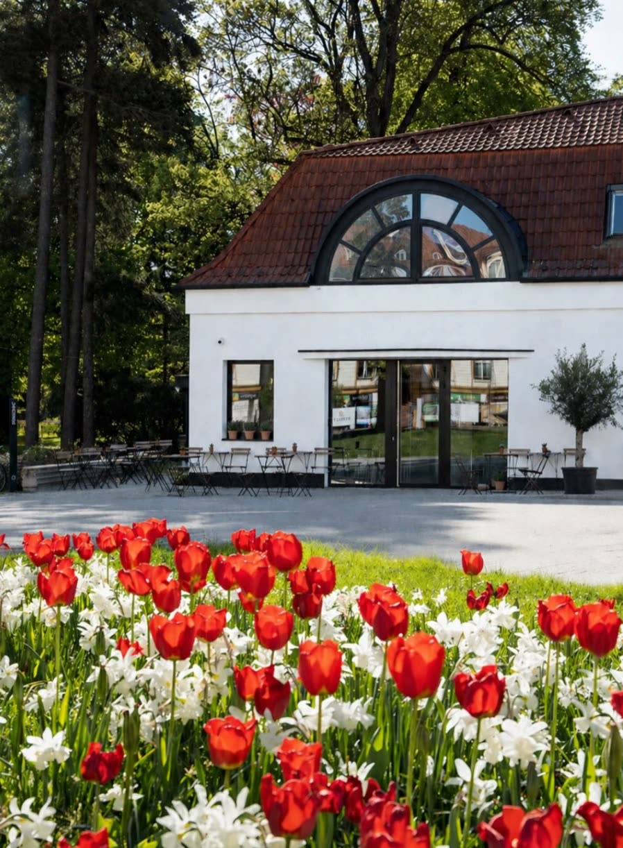 Biela budova vParku na jar, v popredí záhon červených tulipánov a bielych narcisov.